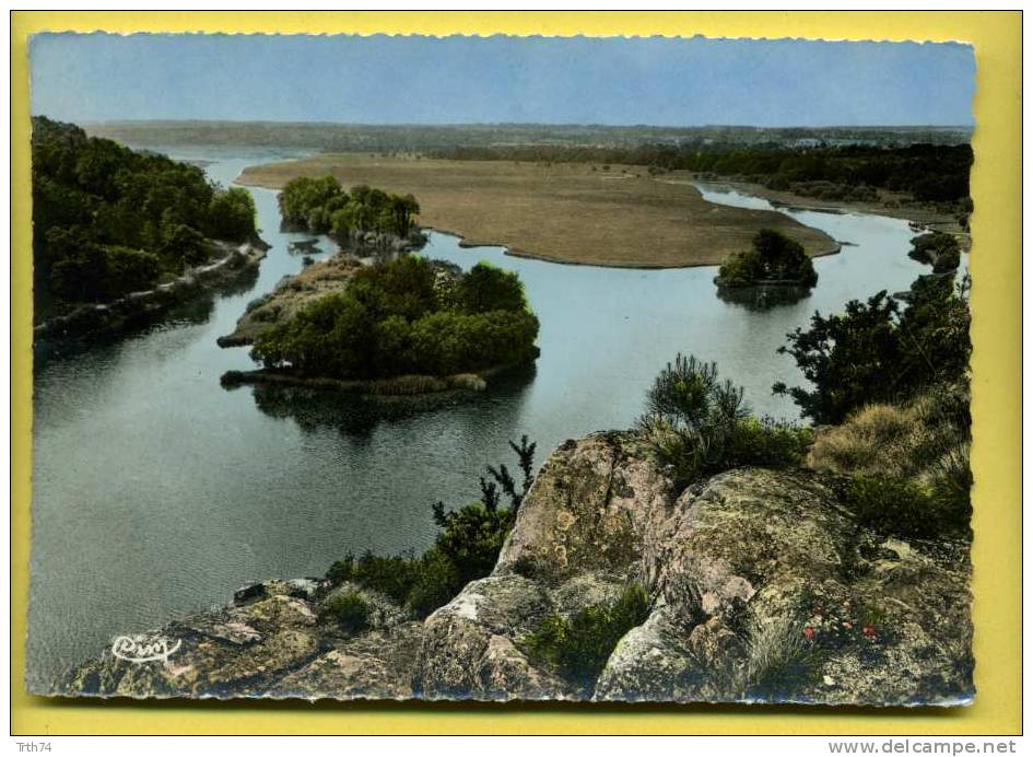 35 Redon L' Ile Aux Pies CPM Dentelée - Redon