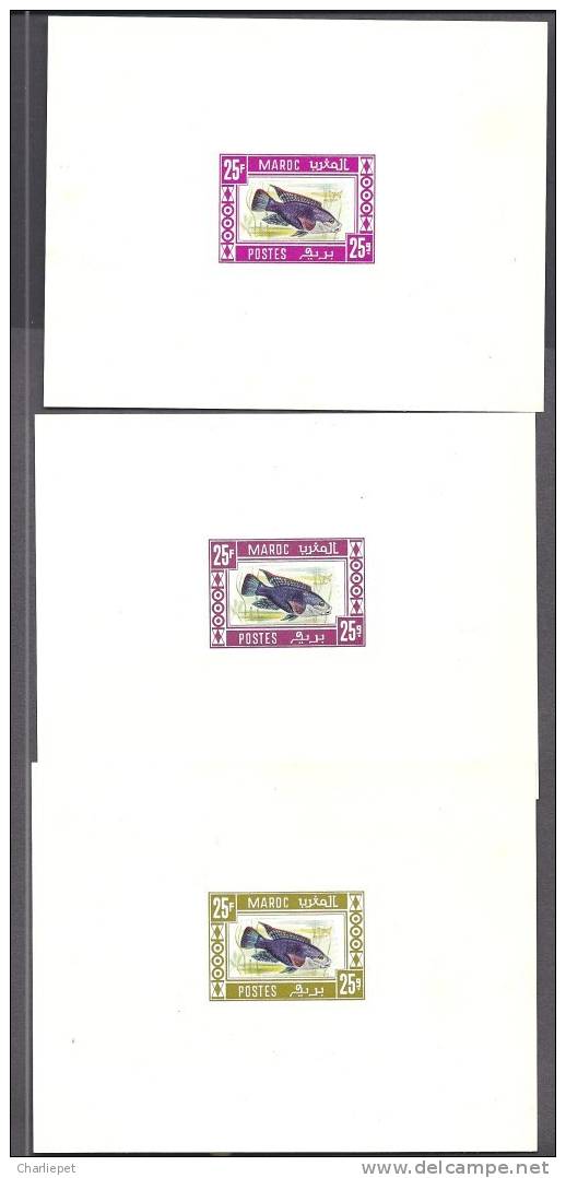 Fish Morocco  3 Trial Color Proof Sheets 25 Fr In Green  Maroon And Red Mint Hinged - Fishes