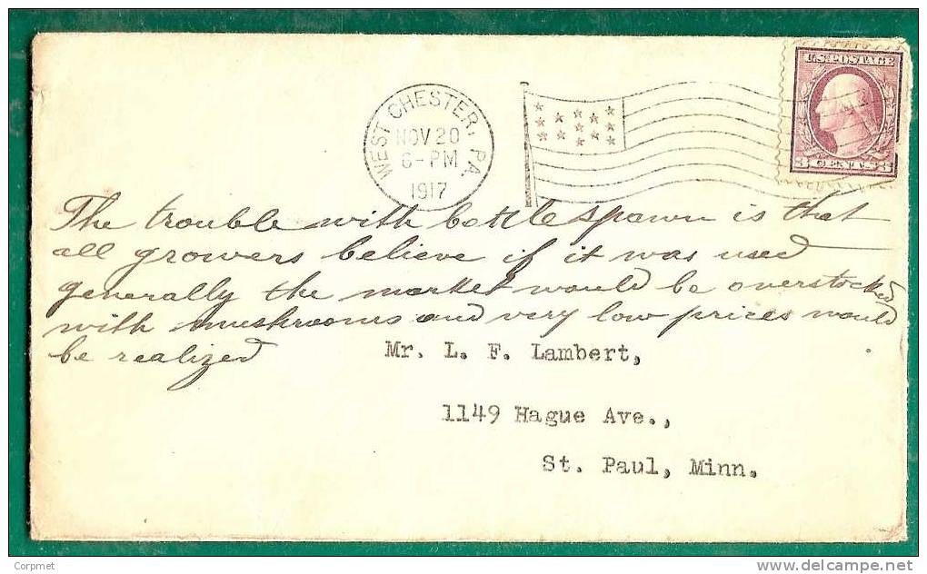 USA - 1917 VF COVER Front Used As A TELEGRAM (written Previously To Cancel) WEST CHESTER To St. Paul - 3c Violet - Other & Unclassified