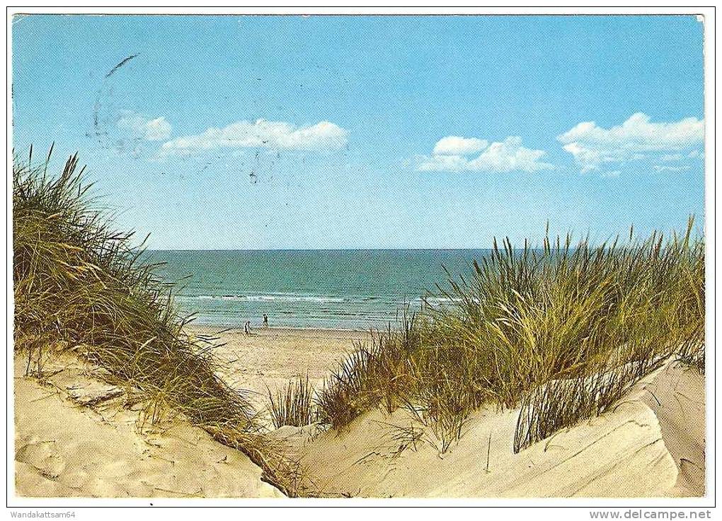 AK 916406 Dünenblick Auf Sandstrand Die Weite Des Meeres Wolken -2.7.74-10 2279 NORDDORF, AMRUM Ma Nach 238 Schleswig - Nordfriesland