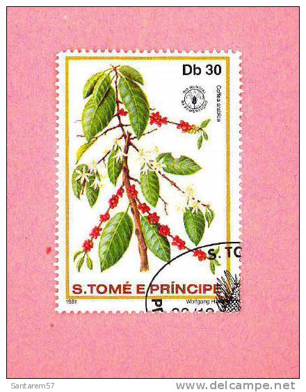 Timbre Oblitéré Used Mint Stamp Selo Carimbado Coffea Arabica Db 30 NATAL S. TOME E PRINCIPE 1981 - Sao Tome Et Principe