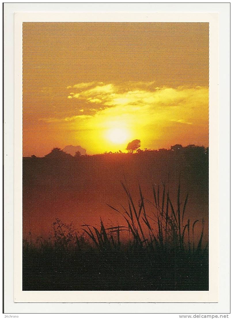 Coucher De Soleil: Pleins Feux, Photo Poupinet, Campagne (10-1268) - Hold To Light