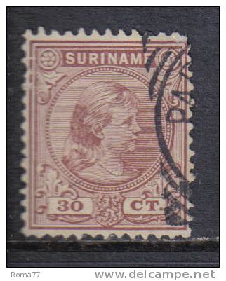 SS2650 - SURINAME , 30 Cent N. Yvert  28 - Suriname ... - 1975