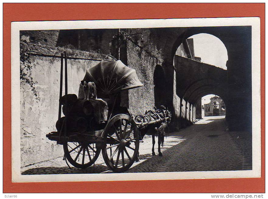 ITALIE   Transport  De Vino    Attelage Trés Beau Plan  Voir Scannes Recto Verso    CPSM - Transports