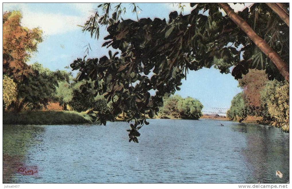 SAINTE SUZANE (Réunion) Bord De Rivière - Autres & Non Classés