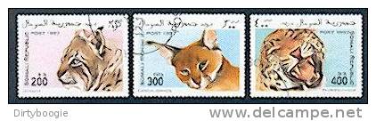 3 TIMBRES - FELINS - SOMALIE - OBLITERES - LYNX - CARACAL - PANTHERE - Somalie (1960-...)