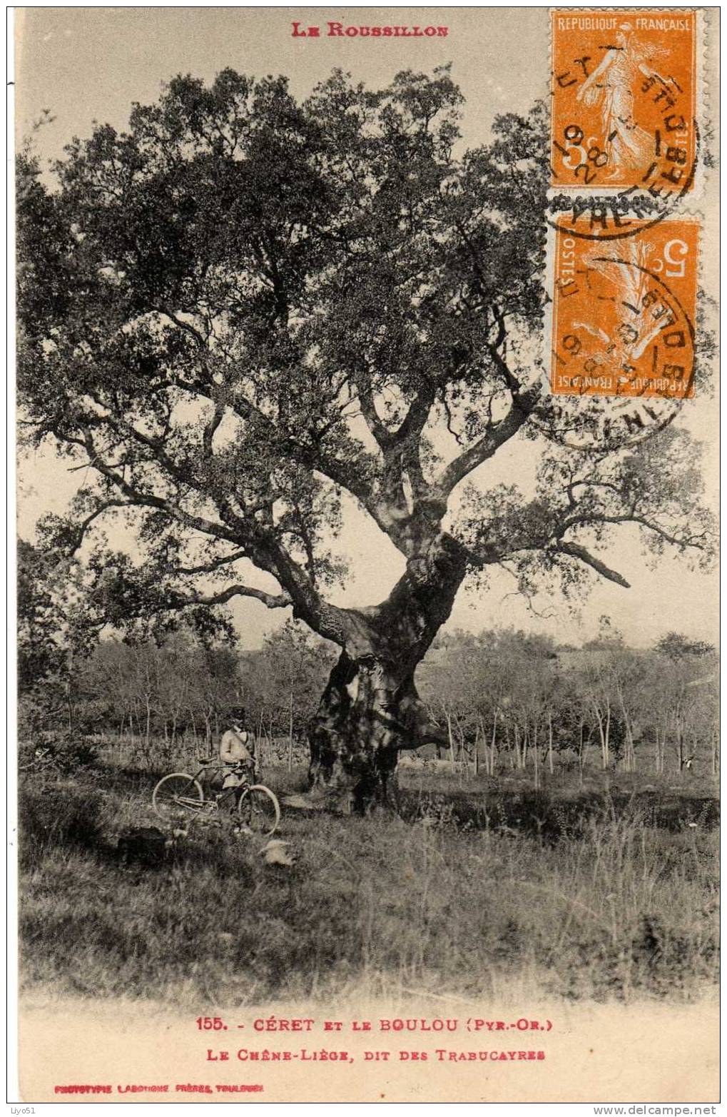 Ceret Et Le Boulou  Pyrénées Orientales  . 1923  . Le Chêne-Liege    Cpa : N&b - Bon état - - Ceret