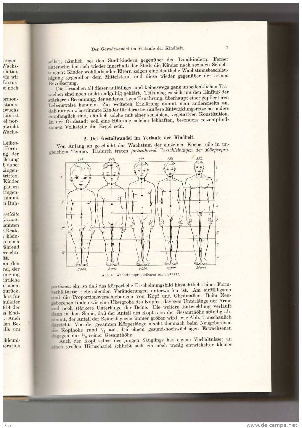 Lehrbuch Der  KINDERHEILKUNDE ( 821 Seiten ) - Medizin & Gesundheit