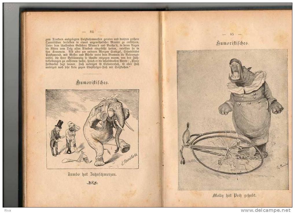 SCHorers Kalender Fur Die Deutsche Familie  (1894 ) - Calendarios