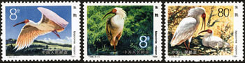1984 CHINA T-94 BIRDS STAMP-IBIS 3V - Unused Stamps