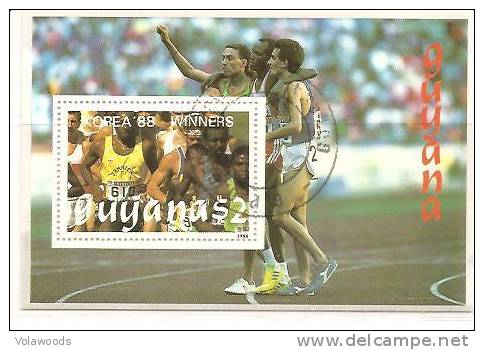 Guyana - Foglietto Usato: Vincitori Delle Olimpiadi Di Seul 1988 - Summer 1988: Seoul