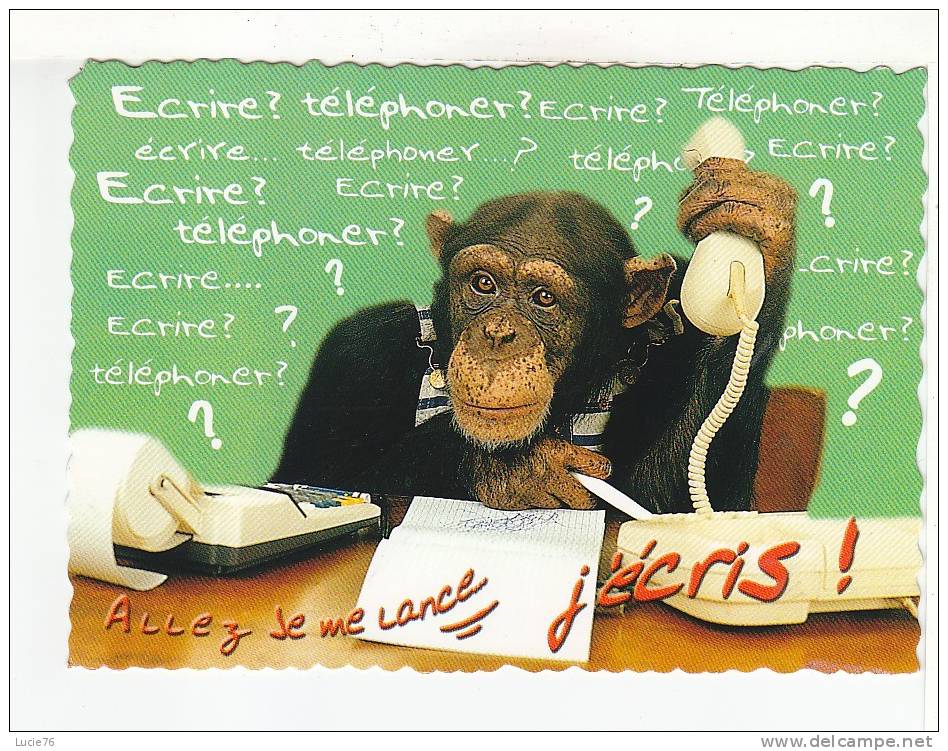 SINGE  -  Ecrire ?  Téléphoner ?  .......Allez Je Me Lance, J'écris  - Collection Fantasia 3 - Apen