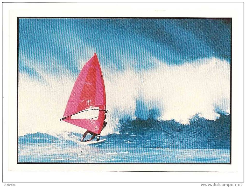 Homme Avec Planche à Voile, Les Voiles De La Liberte, Photo Daniel Forster Sea And See (10-1288) - Vela