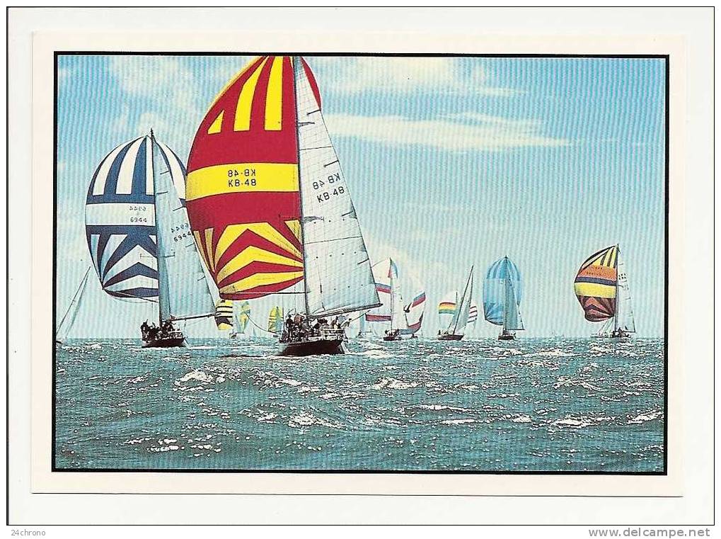 Bateaux à Voile, Les Voiles De La Liberte, Photo Rosenbaum - Zefa (10-1290) - Sailing