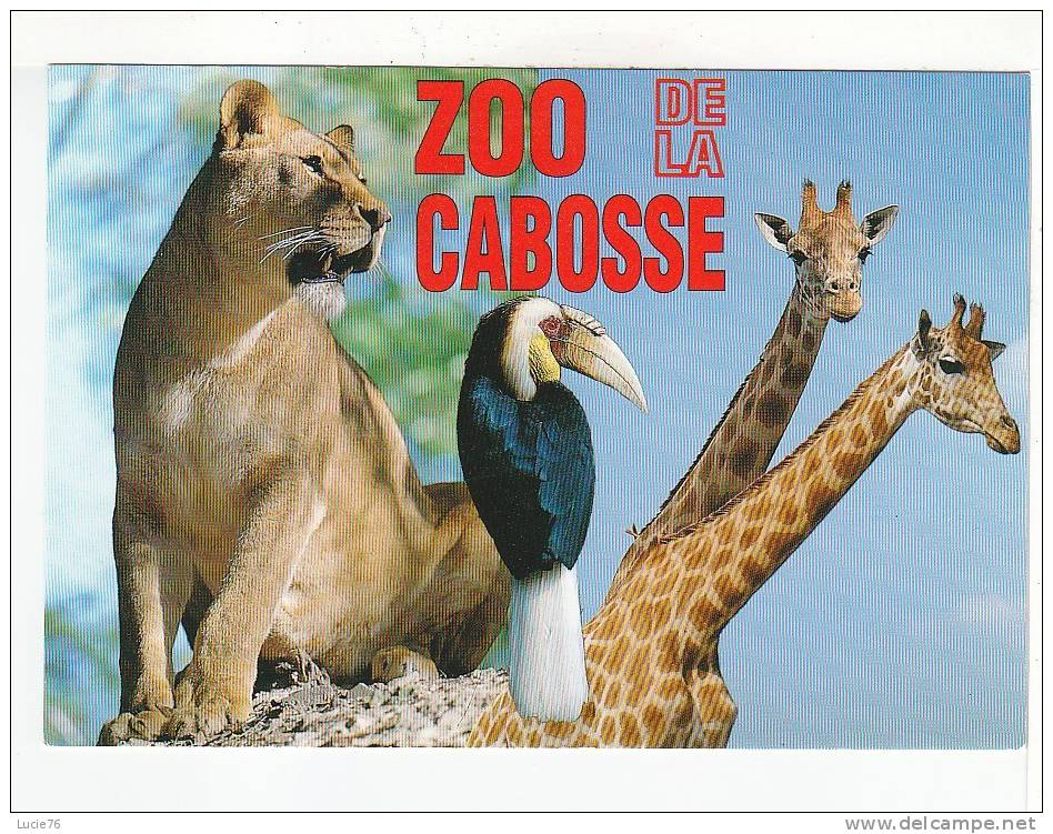 ZOO De La CABOSSE -  JURQUES  - 14 -  N° 1877 -  LIONNE, GIRAFES, ... - Girafes