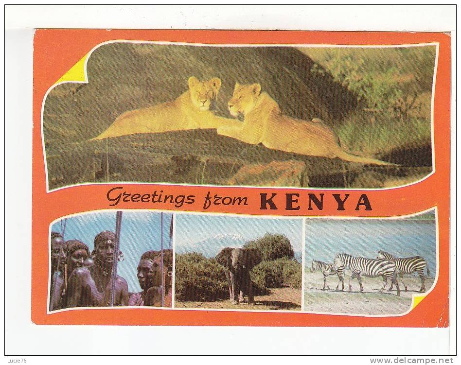 KENYA -  Popular Kenya Scenes -  4 Vues -  Lions, Zèbres, Eléphant, - Zèbres