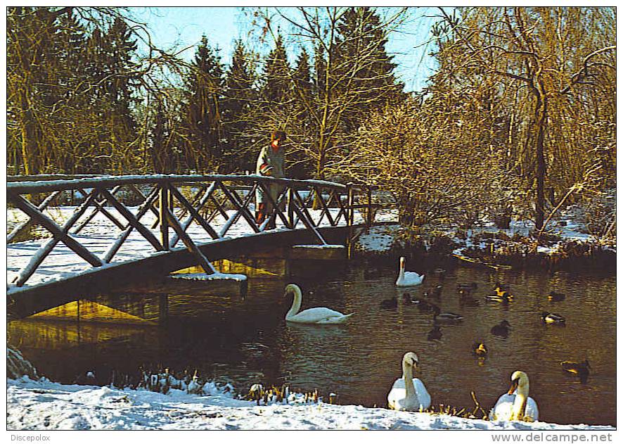 A234 Cartoline Di  Kneippkurort Bad Worishofen – Germany  Kurpark / Non Viaggiata - Bad Wörishofen