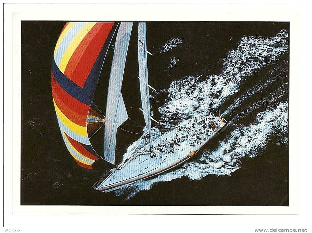 Bateau à Voile Sur La Mer, Les Voiles De La Liberte, Photo Daniel Allisy - Sea And See (10-1298) - Zeilen