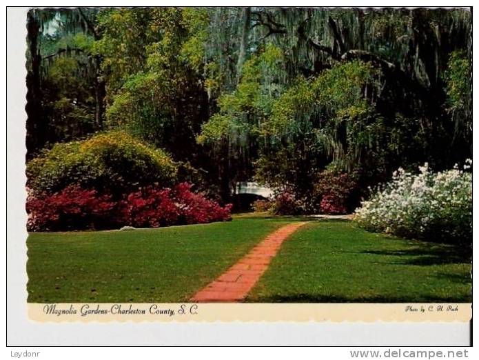 Magnolia Gardens, Charleston County, South Carolina - Charleston