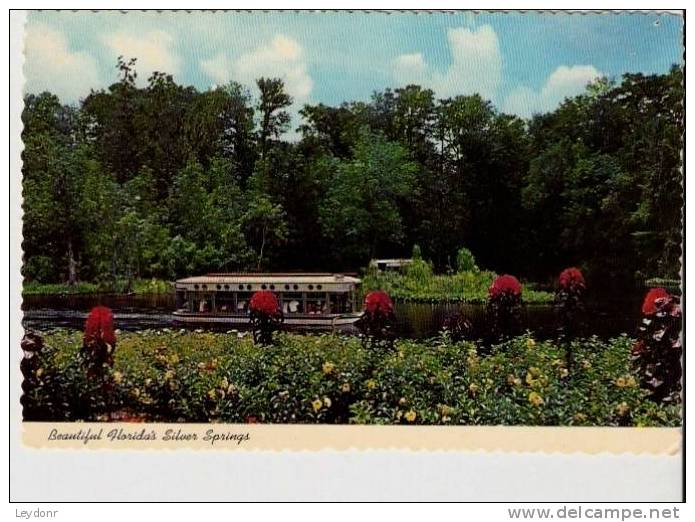 Quiet, Electrically-Propelled Glass Bottom Boats, Florida - Silver Springs