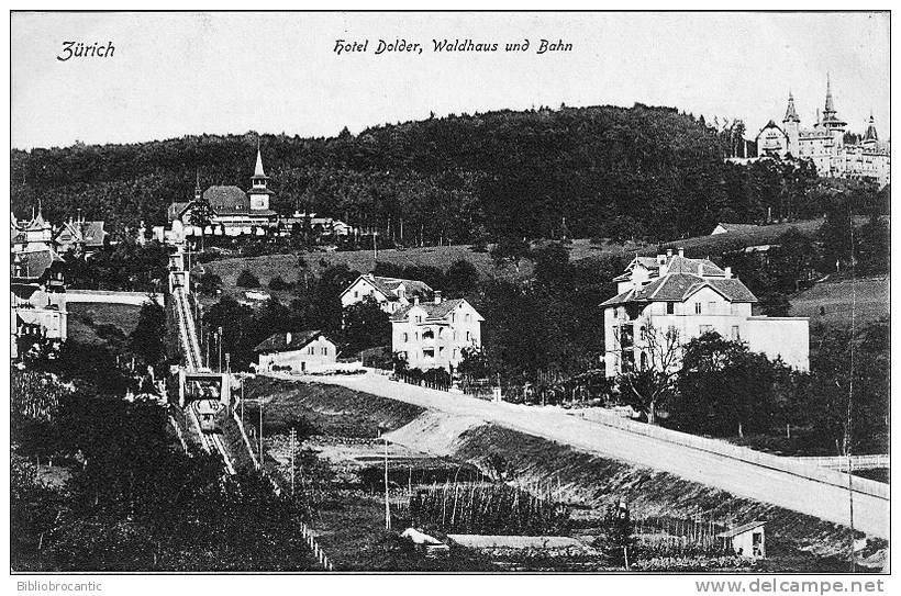 SUISSE -ZH- ZURICH - HOTEL DELBER, WALDHAUS UND BAHN - Wald