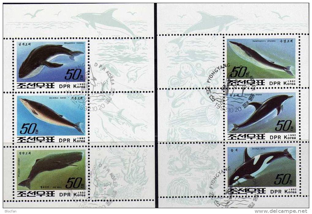 WWF Wale 1992 Korea 3354/59+2 Kleinbogen O 8€ Delphin Finnwal Schwertwal Baird-Wal Pottwal Ss Fauna Sheets Bf COREA - Corea (...-1945)