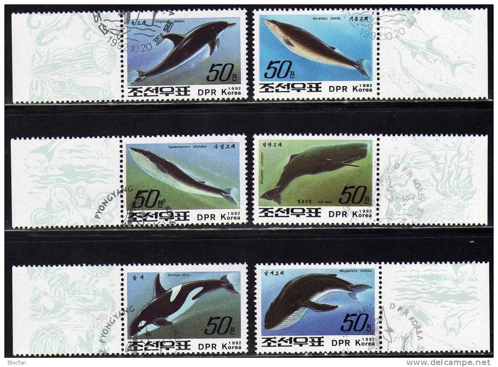 WWF Wale 1992 Korea 3354/59+2 Kleinbogen O 8€ Delphin Finnwal Schwertwal Baird-Wal Pottwal Ss Fauna Sheets Bf COREA - Corée (...-1945)