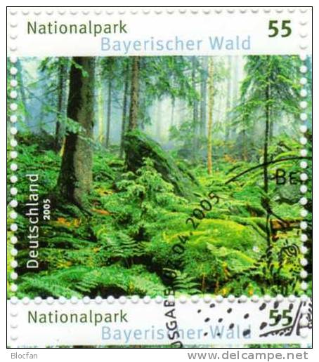 Baum Bayrische Wald 2005 Nationalpark BUND 2452 Im 10-KB SST 10€ Hojita Hb Bloque Hb Bloc M/s Nature Sheetlet Bf Germany - Protection De L'environnement & Climat