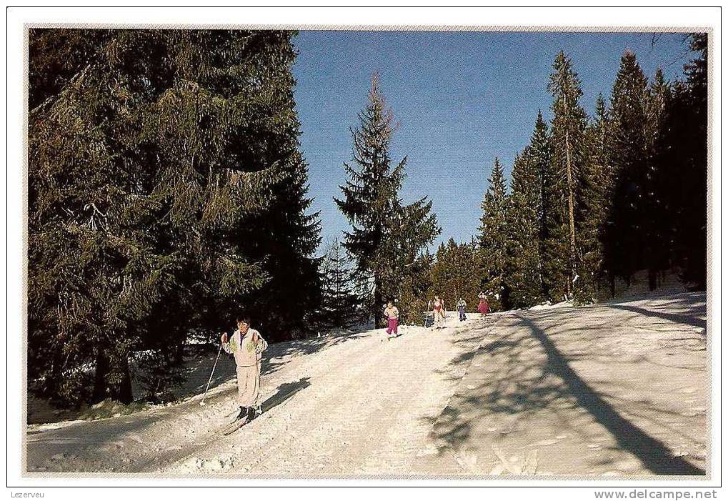 CP HIVER EN FRANCHE COMTE BALLADE SKI DE FOND PHOTO DEFFONTAINE - Franche-Comté