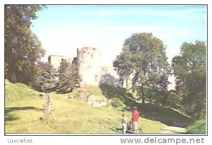 THE CASTLE. CHEPSTOW. - Monmouthshire