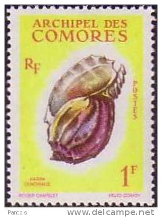 Comores 20 * - Nuovi