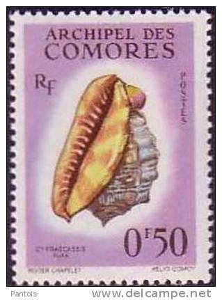 Comores 19 * - Unused Stamps