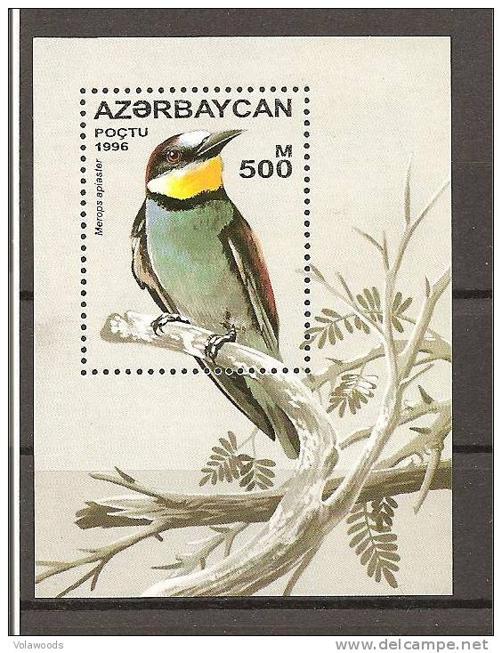 Azerbaigian - Foglietto Nuovo: Merops Apiaster - Azerbaijan