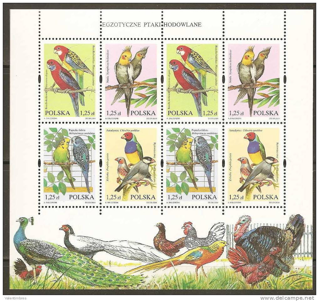 Pologne Poland Polen  Bloc Feuillet ** Oiseaux Perroquets Perruches  YT 3868/71 - Papagayos