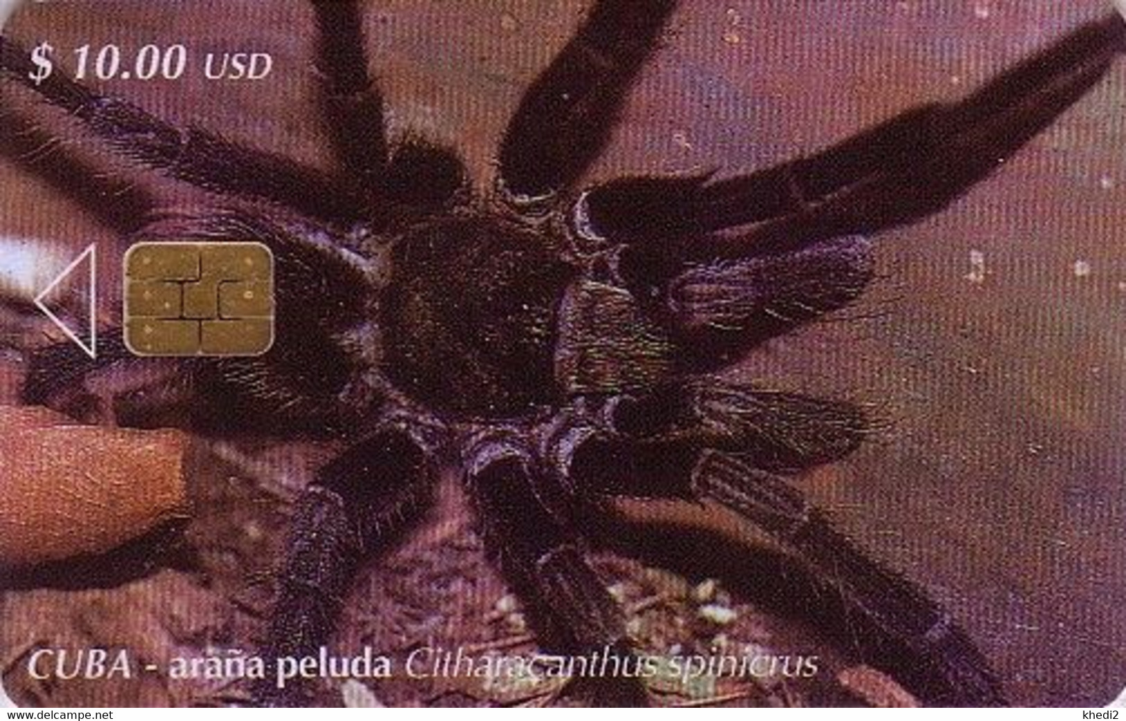 Télécarte à Puce Cuba - ANIMAL - ARAIGNEE - SPIDER Chip Phonecard - SPINNE Telefonkarte - 17 - Cuba