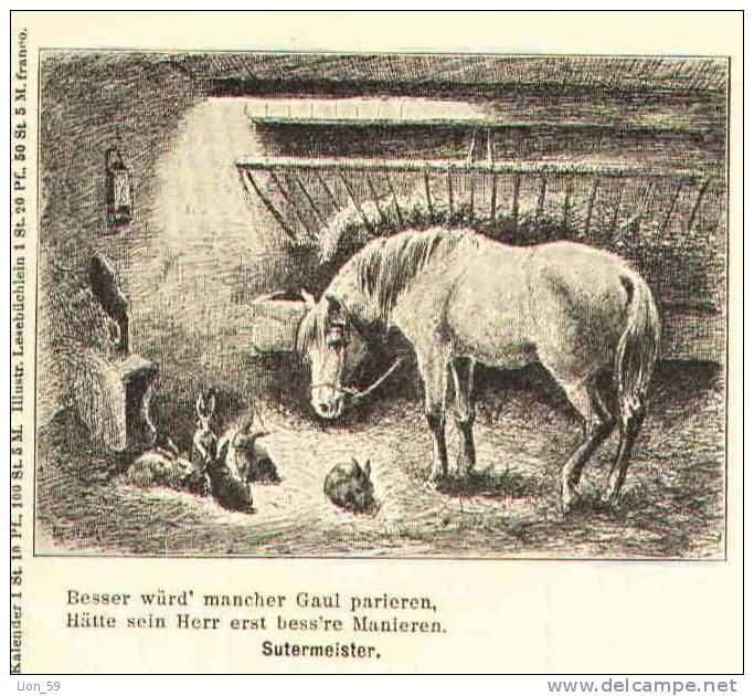 Illustrator POEM SUTERMEISTER Rabbit Konijn Kaninchen Lapin Coniglio Conejo Horse Hauspferd Caballo Cheval Peerd 20442 - Fattorie