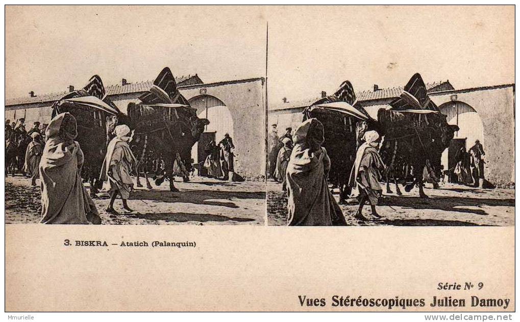 ALGERIE-BISKRA Atatich Palanquin-MB - Stereoscope Cards