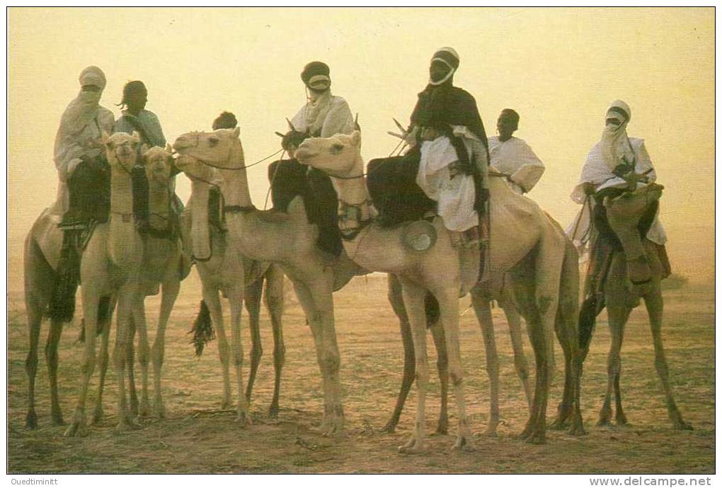 Niger , Cpm , Touaregs , Teguida N'Tessoumt. - Niger
