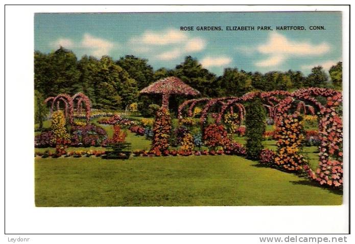 Rose Gardens, Elizabeth Park, Hartford, Connecticut - Hartford