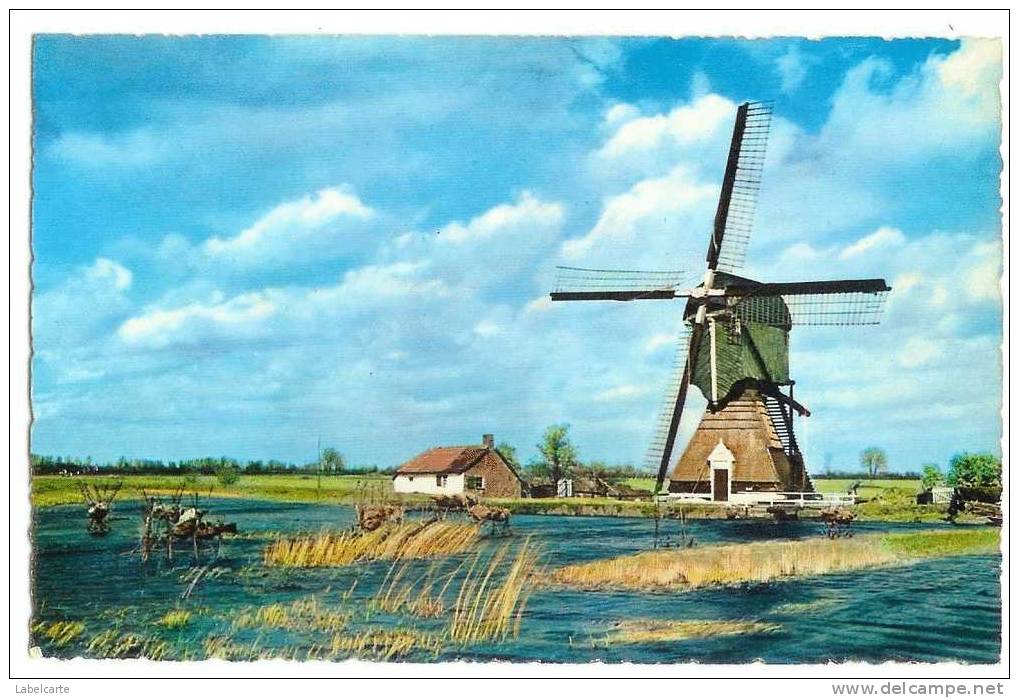 PAYS BAS.ZUID HOLLAND.WIPWATERMOLEN BIJ HEIKOP - Leerdam