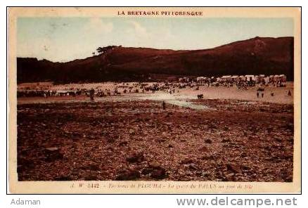 Plouha          La Grève Du Palus Un Jour De Fête ( Chevaux ). - Plouha