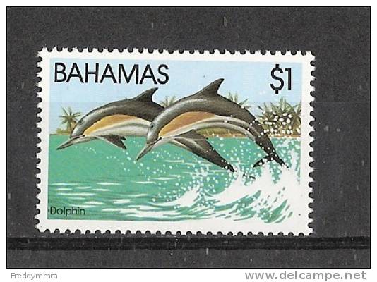 Bahamas: Michel - 519 ** - Dolphins
