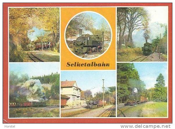 D-06484 Quedlinburg Am Harz - Selketalbahn - Train - Dampflokomotive  Railway - Quedlinburg