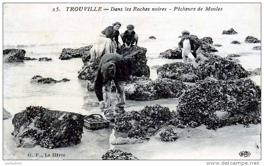 14 TROUVILLE DANS LES ROCHES NOIRES  PECHEURS DE MOULES - Trouville