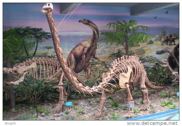 E-10zc/Fo4^^  Dinosaur Fossil   , ( Postal Stationery , Articles Postaux ) - Fossili