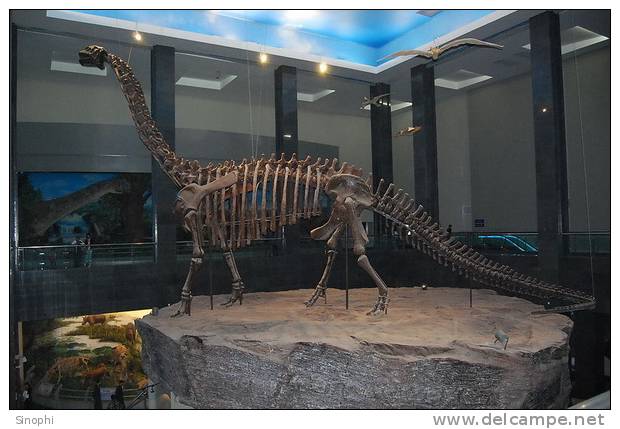 E-10zc/Fo5^^  Dinosaur Fossil   , ( Postal Stationery , Articles Postaux ) - Fossili
