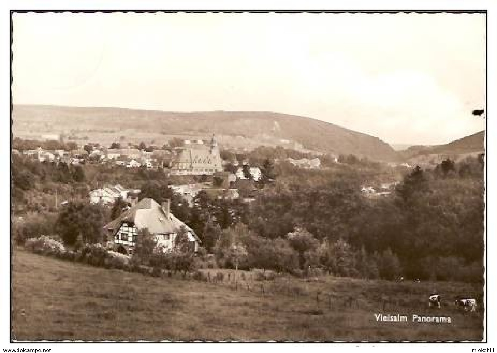 VIELSALM- PANORAMA - Vielsalm