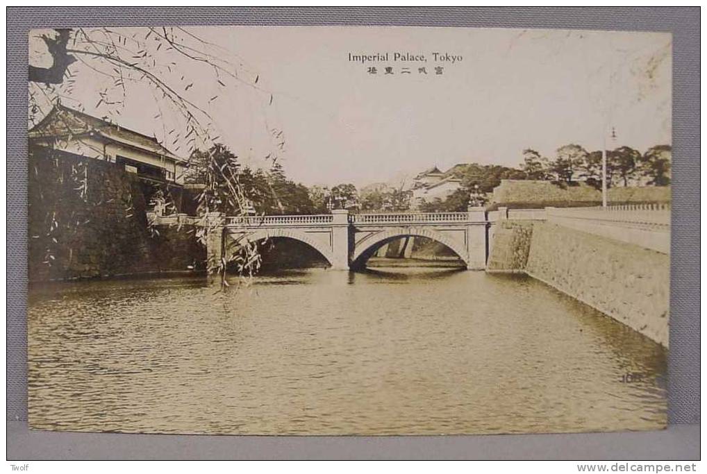 Imperial Palace-Twin Bridge Tokyo - Tokyo