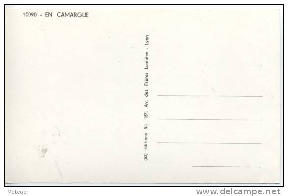 En Camargue - Andere & Zonder Classificatie