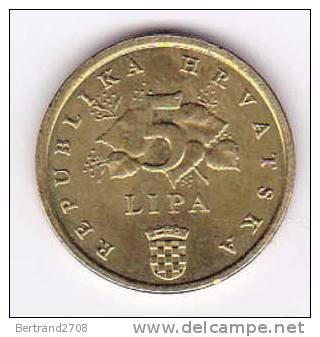 Pièce De Monnaie De 5 LIPA De CROATIE - Croatie